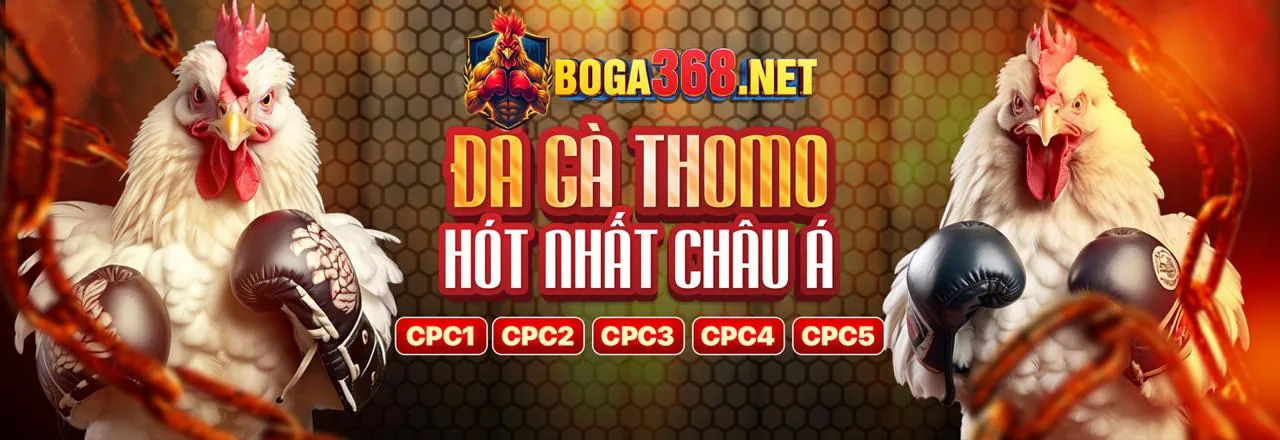 Tổng quan các loại khuyến mãi đa dạng tại twin login