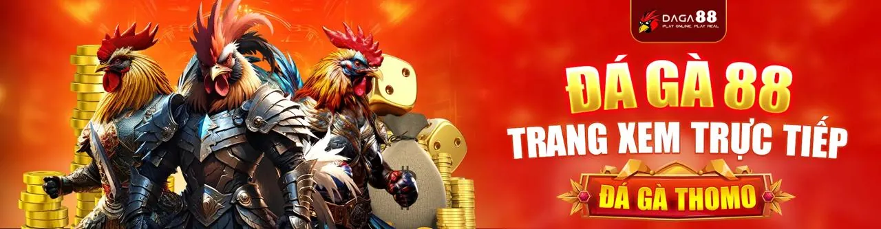 Sân đấu đá gà kịch tính tại twin login